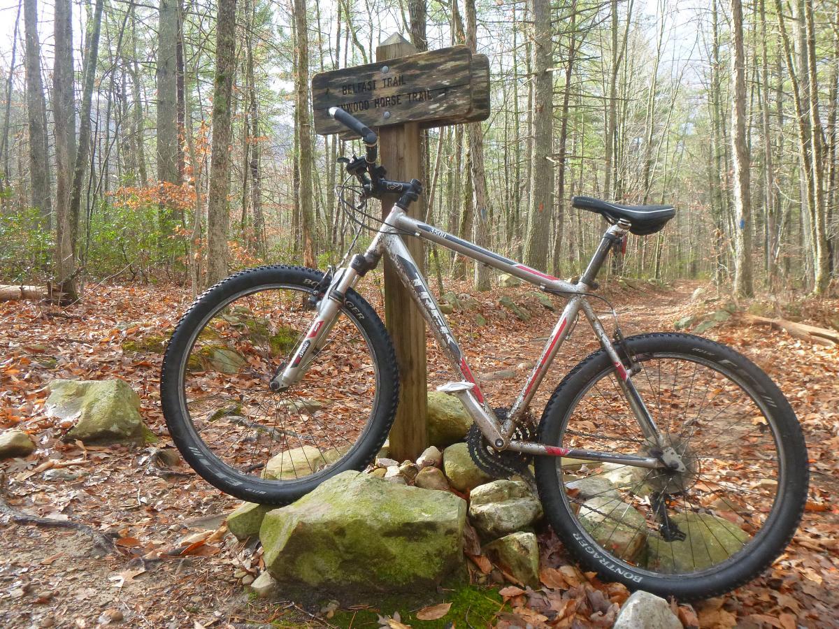 Trek 3500: A mountain bike resting against a wooden trail sign in a wooded area, surrounded by autumn leaves and large rocks. The sign indicates the "Beltast Trail" and the "Enwood Horse Trail," with trees in the background.