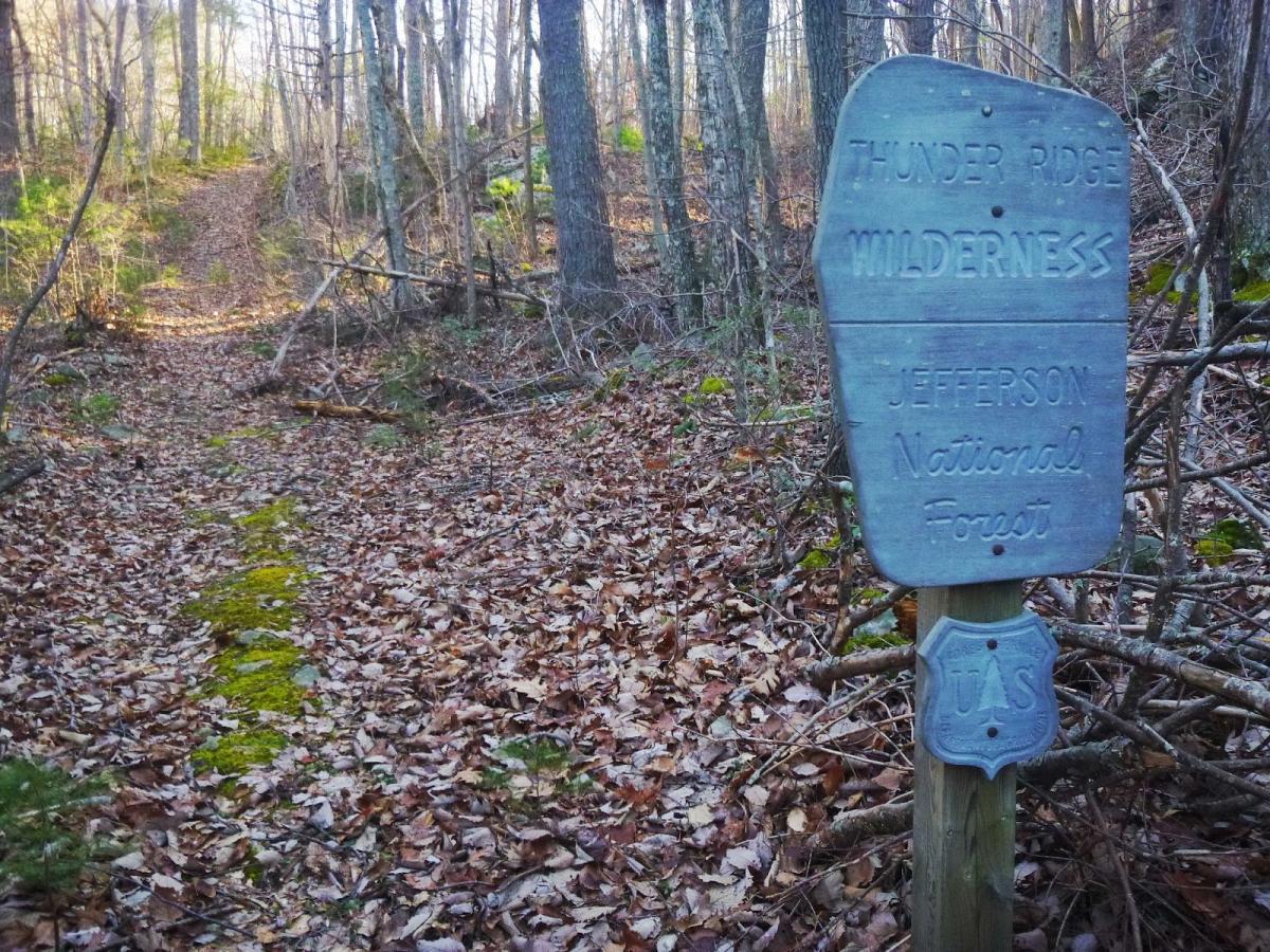 A wooden sign indicating the Thunder Ridge Wilderness area within the Jefferson National Forest, standing near a leaf-covered trail surrounded by trees. The sign is partially obscured by branches and foliage, and the trail winds into the woods. Glenwood Horse Trail: Northern End mountain bike trail.