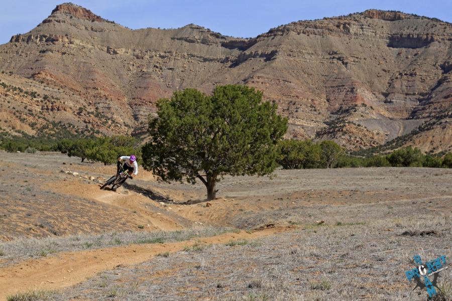 A mountain biker leans into a turn on a dirt trail surrounded by rocky hills and sparse vegetation. A lone tree stands nearby, and the landscape features dry grass and colorful rock formations in the background. 18 Road Trails / North Fruita Desert mountain bike trail.