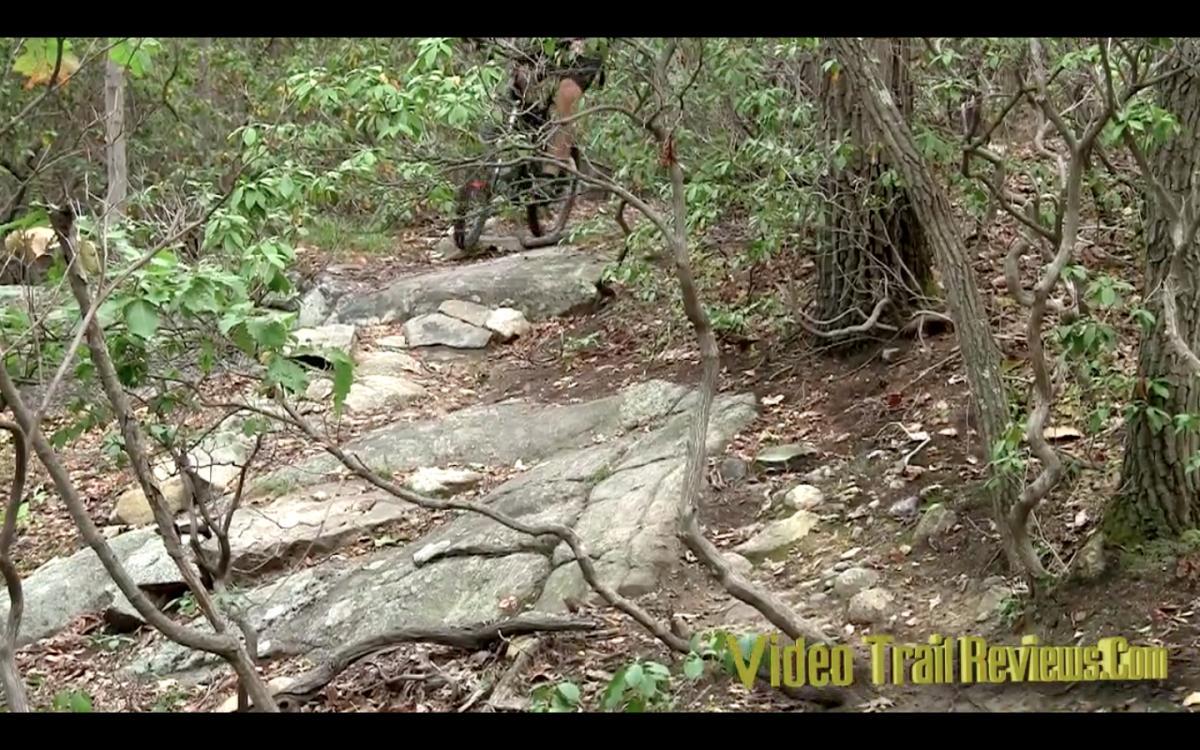 A person riding a mountain bike on a rocky trail surrounded by trees and foliage. The path is uneven with large stones, indicating a challenging terrain for biking. Ramapo Mountain State Forest mountain bike trail.