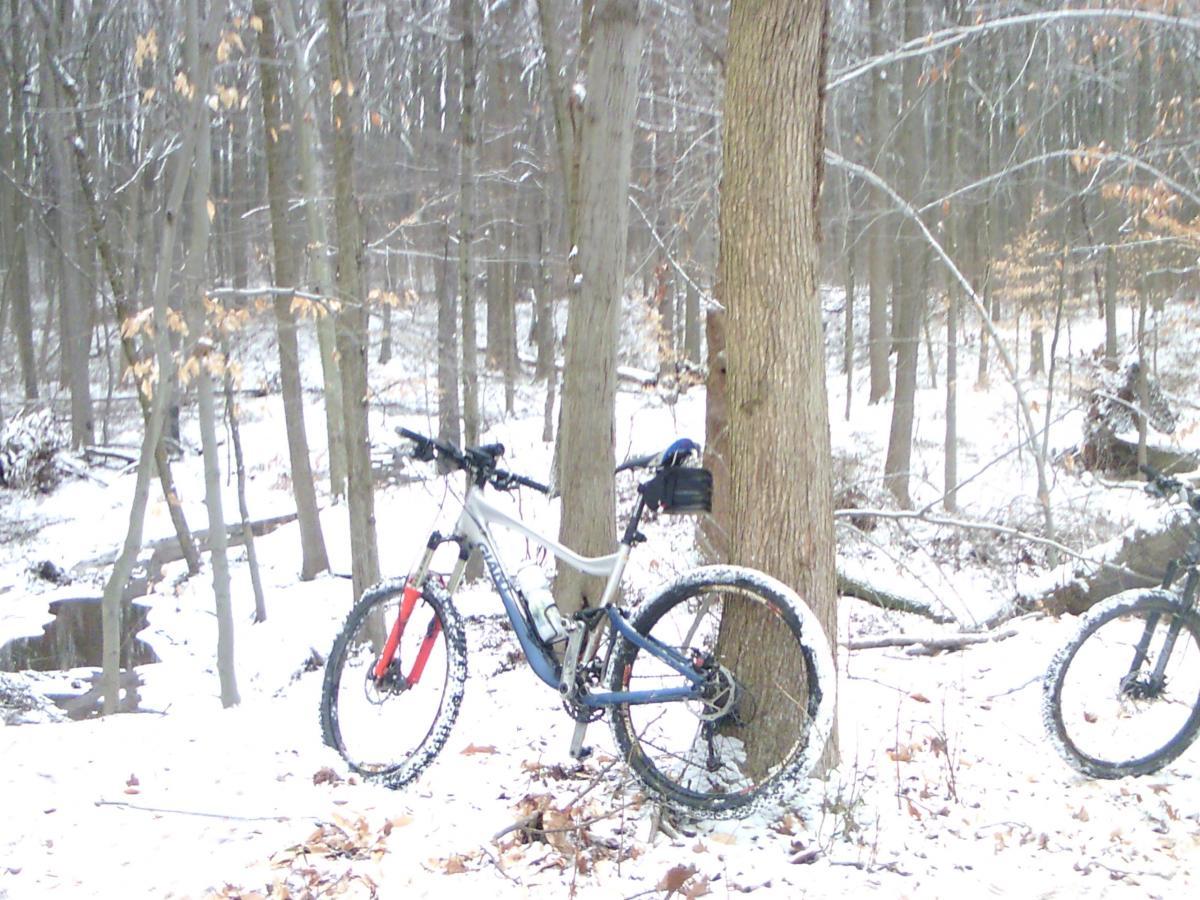 A mountain bike resting against a tree in a snowy forest, with a light layer of snow covering the ground and tree branches. Autumn leaves can be seen on the ground, and a small creek is visible in the background. Wolfes Pond park mountain bike trail.