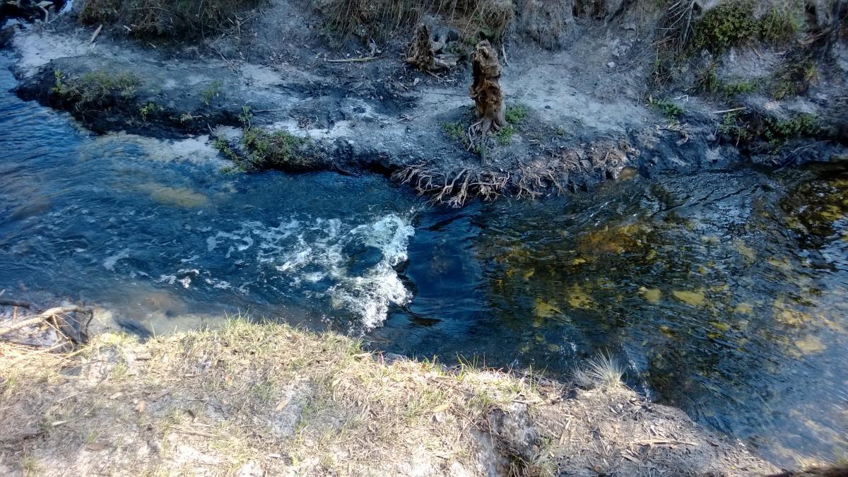 A serene view of a softly flowing stream, surrounded by sandy banks and patches of grass. The water is clear with gentle ripples, revealing a blend of light and dark shades on the riverbed. The edges show some weathered roots and vegetation, creating a peaceful natural setting. Little Big Econ State Forest mountain bike trail.