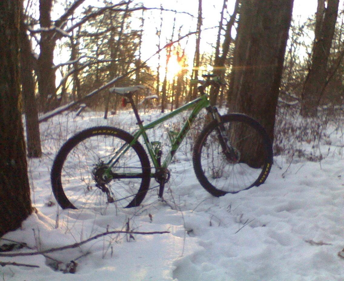 Trek Marlin: A green mountain bike leaning against a tree in a snowy forest, with sunlight filtering through the trees in the background. Snow covers the ground and branches, creating a serene winter landscape.