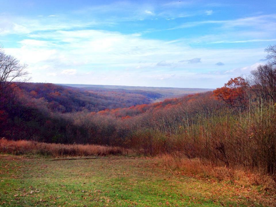 A panoramic view of a lush valley during autumn, showcasing rolling hills covered in trees with vibrant orange and brown foliage. The clear blue sky is dotted with soft clouds, and a grassy foreground transitions into the colorful wooded landscape. Brown County Park mountain bike trail.