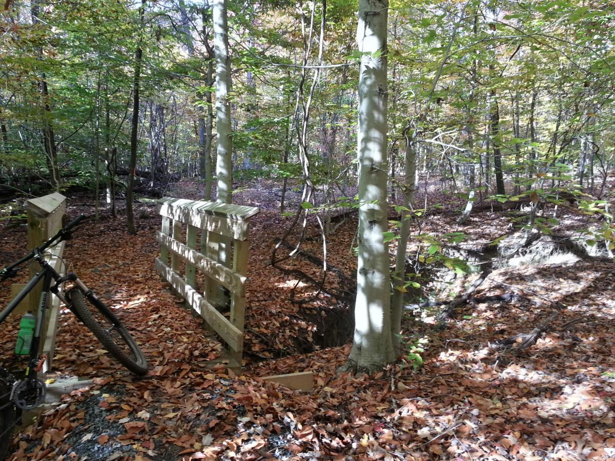 A mountain bike leaning against a wooden bridge in a forested area during autumn. The ground is covered with colorful fallen leaves, and sunlight filters through the trees, casting dappled shadows on the scene. A small ditch or ravine is visible next to the bridge. Meadowood mountain bike trail.
