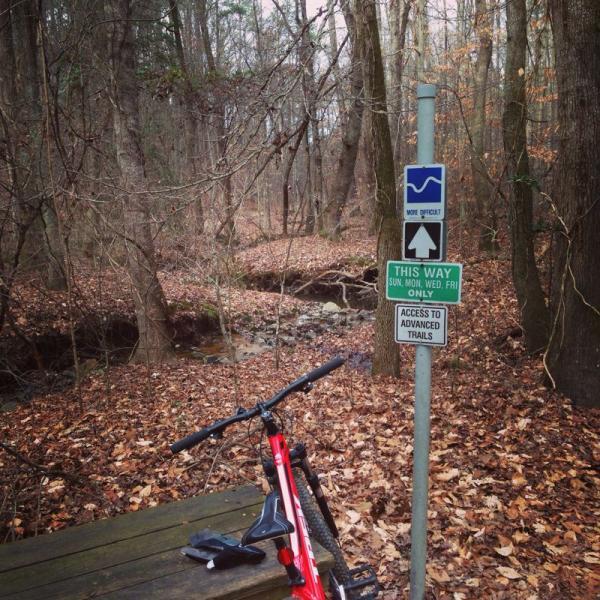 A red mountain bike rests against a wooden bench in a forested area covered with fallen leaves. Two trail signs are present: one indicates a more difficult trail ahead, and the other provides directional guidance for advanced trail access, noting specific days for use. A small creek is visible in the background amidst the trees. Big Creek mountain bike trail.