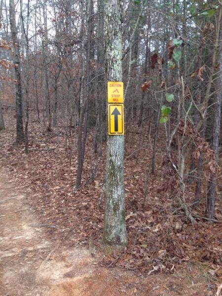 A yellow caution sign attached to a tree, warning of a steep hill, is positioned in a wooded area with fallen leaves on the ground. The sign features a large black arrow pointing upward. Big Creek mountain bike trail.