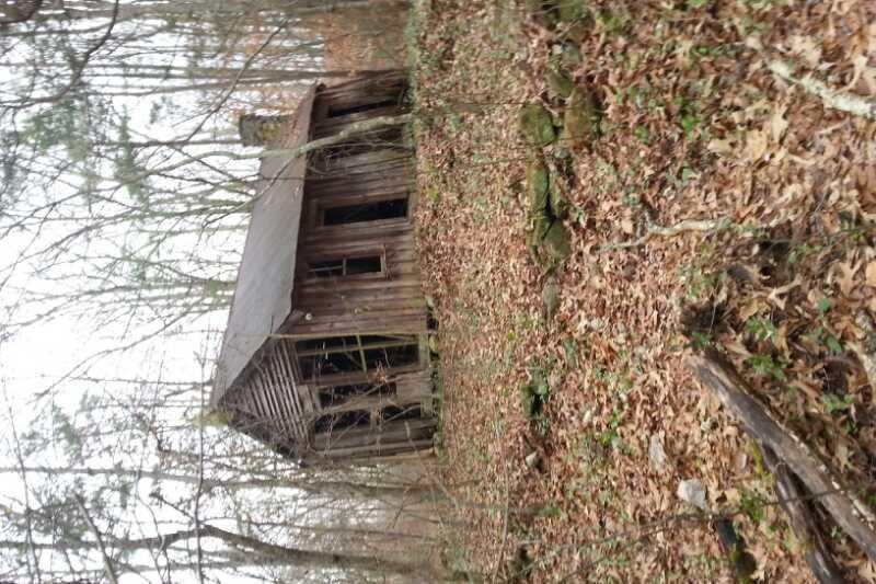 Alt tag: An old, weathered wooden cabin partially hidden by trees and fallen leaves in a forested area, with a slanted roof and broken windows. Clinton Nature Preserve mountain bike trail.