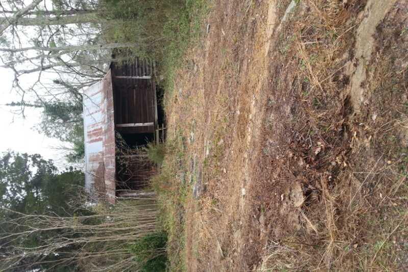 An abandoned, weathered wooden building with a rusty metal roof, partially hidden by overgrown grass and young trees. The foreground features a patch of bare earth and scattered leaves, indicating a lack of recent maintenance. The overall atmosphere suggests a rural, untouched environment. Clinton Nature Preserve mountain bike trail.