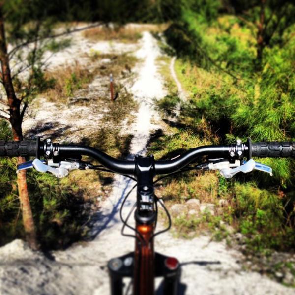Alt text: Close-up view of bicycle handlebars with brakes, overlooking a winding dirt trail surrounded by greenery. West Delray Regional Park mountain bike trail.
