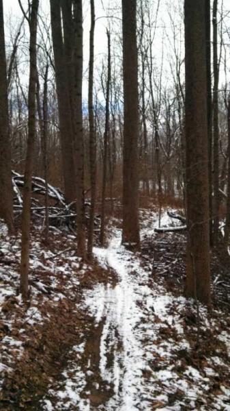 A snowy path winding through a wooded area, lined with tall, bare trees. Leaves cover the ground, and there are fallen branches visible on one side of the trail. The sky is overcast, suggesting a chilly atmosphere. Nassau Trails mountain bike trail.