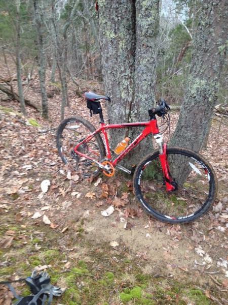 A red mountain bike resting against a tree in a forested area, surrounded by fallen leaves and greenery. The bike features a water bottle mounted on the frame, with a saddle bag attached. Panther Creek State Park mountain bike trail.