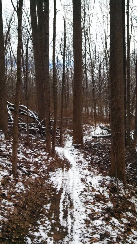 A winding dirt path leads through a forest with tall, bare trees. The ground is covered in a light layer of snow, and scattered leaves can be seen along the trail. In the background, fallen branches and logs are visible, creating a natural and serene woodland atmosphere. Nassau Trails mountain bike trail.