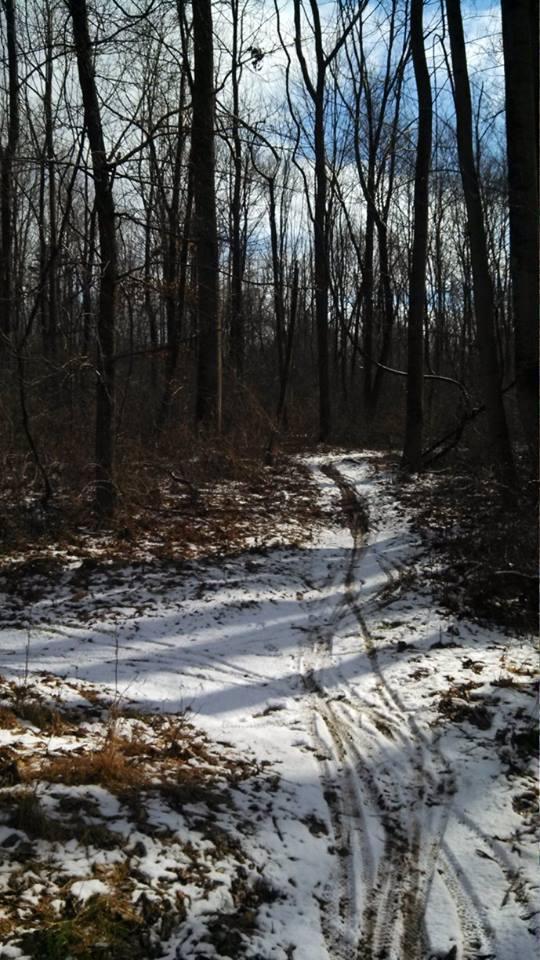 A winter scene featuring a winding dirt path through a forest, surrounded by leafless trees. The ground is partially covered in snow, with patches of brown leaves visible. The sky is partly cloudy, allowing some sunlight to filter through the branches. Nassau Trails mountain bike trail.