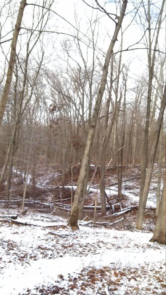 A wintery forest scene featuring bare trees with a dusting of snow on the ground. The landscape is covered in fallen leaves and twigs, with a gentle slope leading down to a wooded area. The sky is cloudy, creating a tranquil and serene atmosphere in the natural setting. Nassau Trails mountain bike trail.