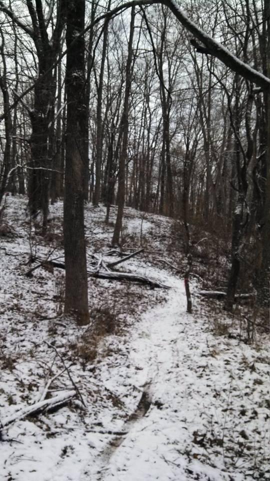 A snowy trail winding through a wooded area, surrounded by bare trees and fallen branches, under a cloudy sky. Nassau Trails mountain bike trail.