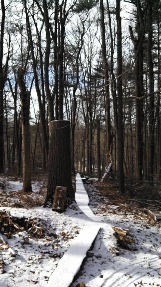 A snowy forest scene featuring a clear path made of wood, leading through tall, bare trees. A cut tree stump is visible in the foreground, with patches of snow covering the ground. The atmosphere is serene and peaceful, suggesting a tranquil winter day in nature. Nassau Trails mountain bike trail.