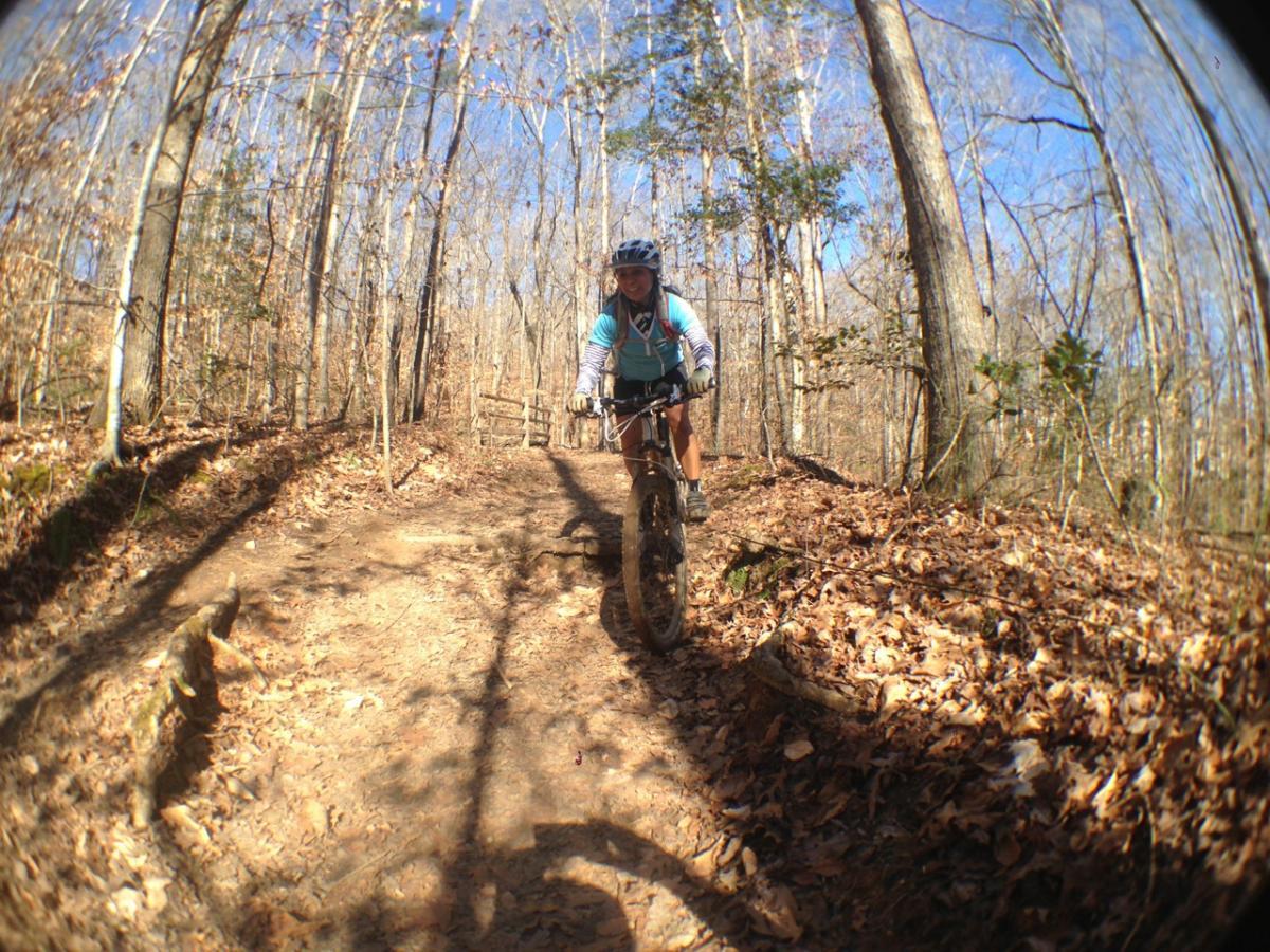 A mountain biker navigating a rugged dirt trail in a forest, surrounded by trees with bare branches and fallen leaves, under a clear blue sky. Sope Creek mountain bike trail.