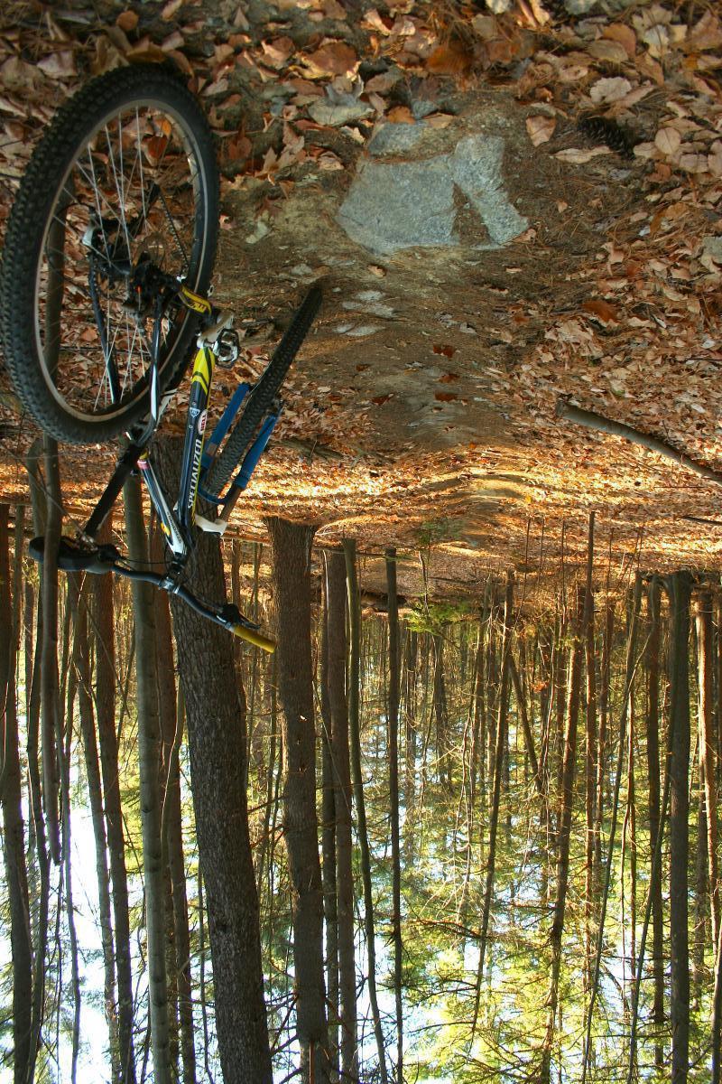 A mountain bike resting on its side on a forest trail covered with fallen leaves. Tall trees surround the area, showcasing the vibrant colors of the foliage and the dappled sunlight filtering through the canopy. Yudicky Farm mountain bike trail.