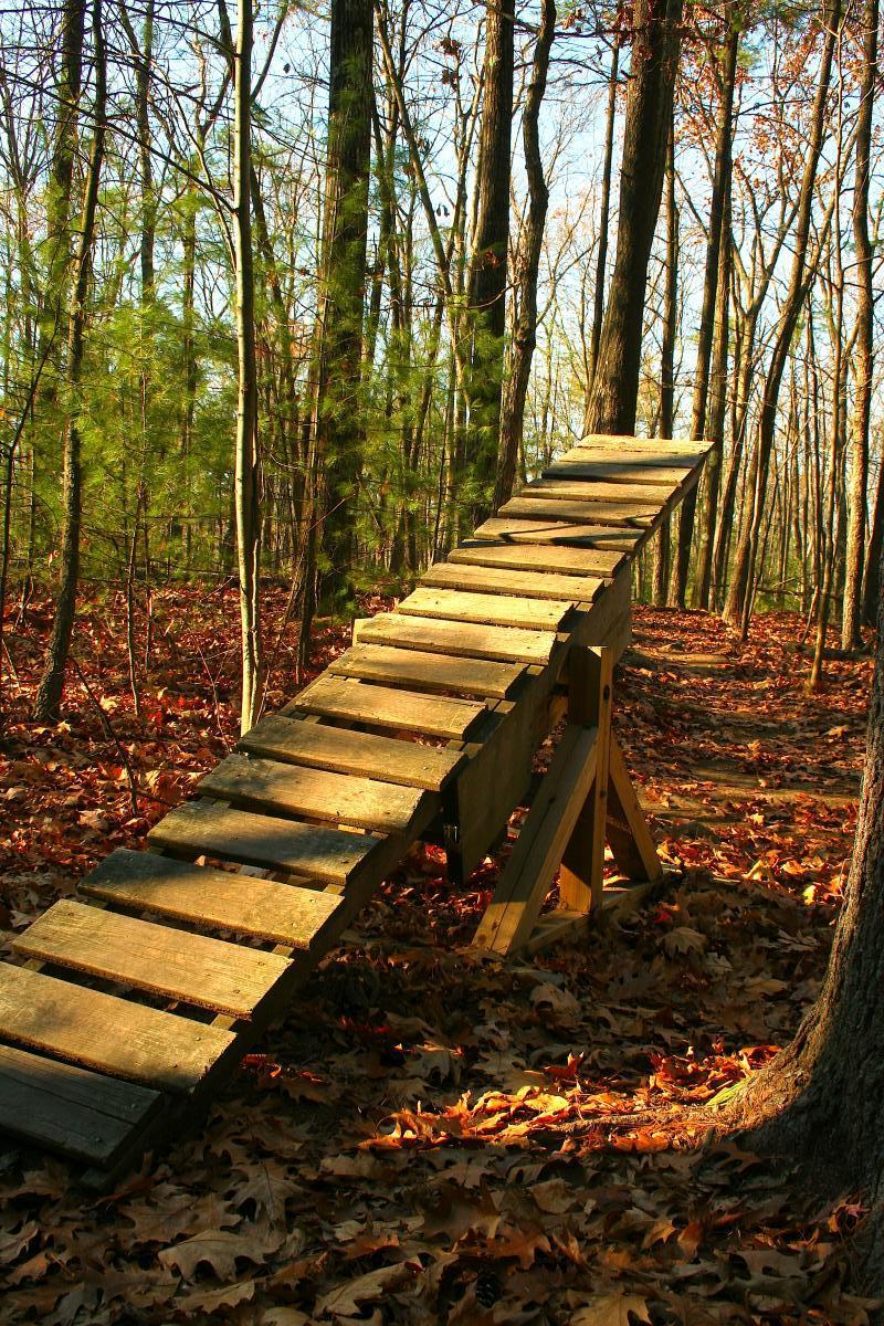 A wooden ramp made of planks, set in a forest area covered with fallen leaves. The ramp slopes upward and is supported by wooden braces, surrounded by tall trees with green foliage in the background. The scene is illuminated by soft natural light, creating a peaceful outdoor atmosphere. Yudicky Farm mountain bike trail.