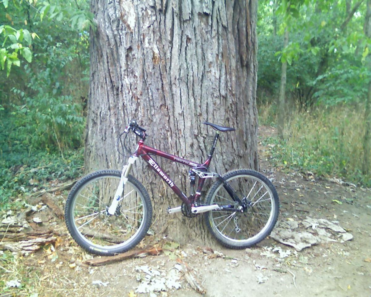 Ellsworth Truth: A mountain bike leaning against the trunk of a large tree in a wooded area. The bike is predominantly maroon with silver accents and has thick tires suitable for off-road riding. In the background, lush greenery and soft earth are visible, creating a natural outdoor setting.