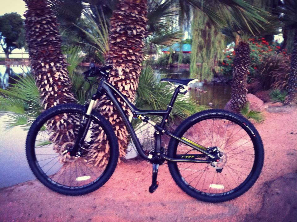 Specialized Rumor Comp: A black mountain bike positioned near palm trees by a pond, set against a natural landscape during dusk.