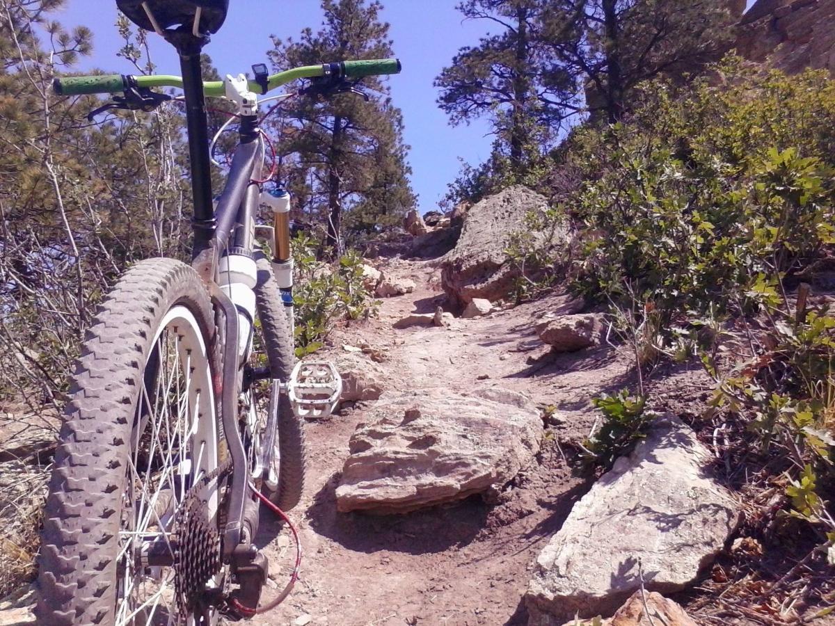 A close-up view of a mountain bike positioned on a rugged, rocky trail surrounded by greenery and tall trees under a clear blue sky. The bike's front wheel and handlebars are visible, showing dirt on the tires, which indicates recent use on a dirt path. Ute Valley Park mountain bike trail.
