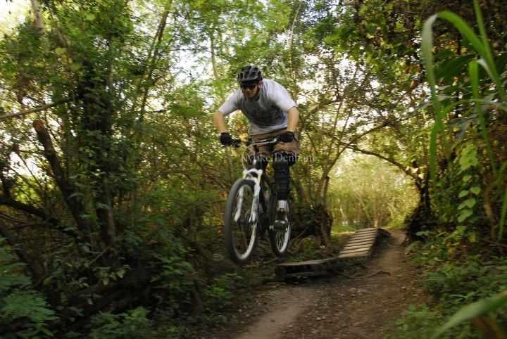 A mountain biker performing a jump on a trail surrounded by dense greenery. The rider is wearing a helmet and protective gear, capturing a moment of excitement and adventure in nature. Markham Park mountain bike trail.