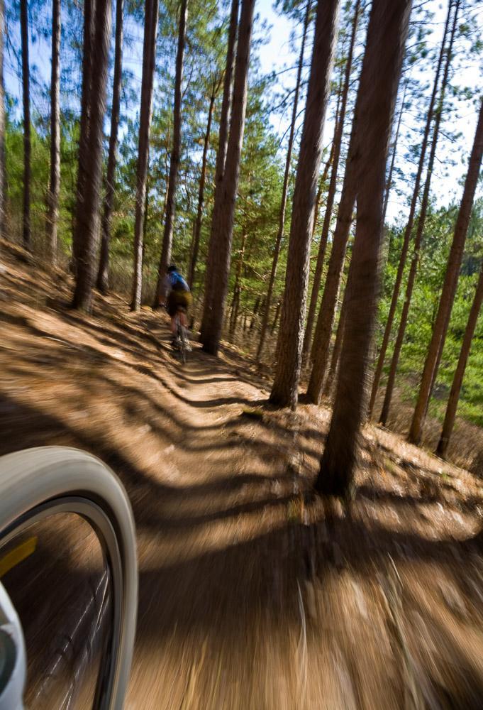 A blurred action shot of a mountain biker navigating a winding dirt trail through a dense forest of tall pine trees, with sunlight filtering through the branches. The foreground features a close-up view of the bike's wheel, emphasizing speed and movement. Makwa Trail mountain bike trail.