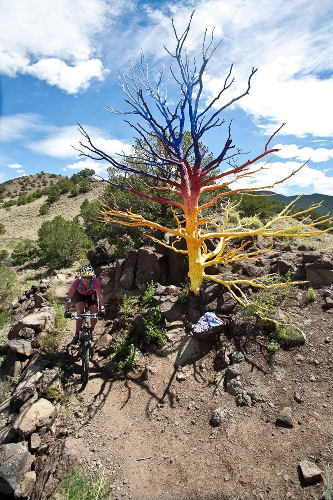 A mountain biker navigates a rocky trail beside a colorful, painted tree with branches in hues of blue, red, and yellow, set against a backdrop of green hills and a bright blue sky with scattered clouds. Arkansas Hills mountain bike trail.