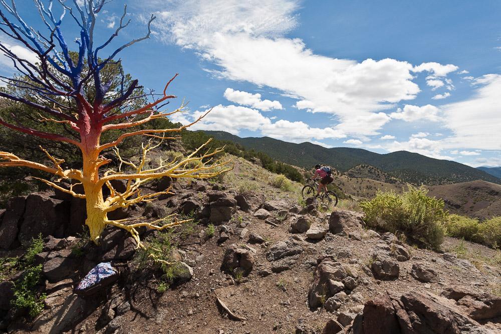 A vibrant, painted tree with branches in shades of blue, red, and yellow stands on a rocky hillside. In the background, a mountain biker navigates the terrain under a blue sky with scattered clouds. Lush greenery and additional hills surround the scene, highlighting the contrast between the colorful tree and the natural landscape. Arkansas Hills mountain bike trail.