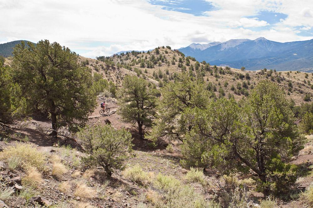 A mountain biker navigating a rocky trail surrounded by trees, with distant mountains and a partly cloudy sky in the background. Arkansas Hills mountain bike trail.