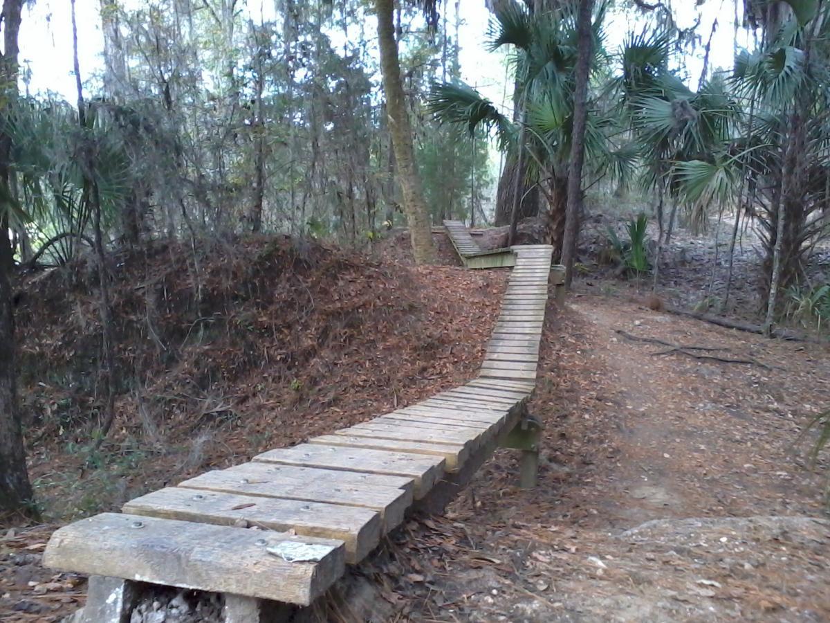 A wooden boardwalk winding through a dense forest, surrounded by tall trees and palm plants. The path is covered with fallen leaves, and the sunlight filters through the foliage, creating a tranquil outdoor setting. Santos mountain bike trail.
