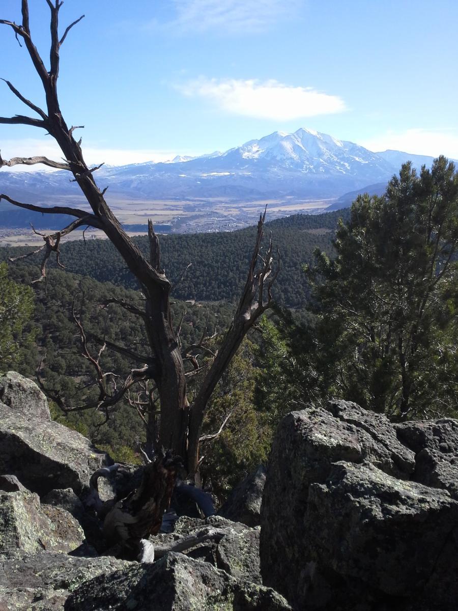 Red Hill Mountain Bike Trail In Carbondale Colorado Directions Maps 