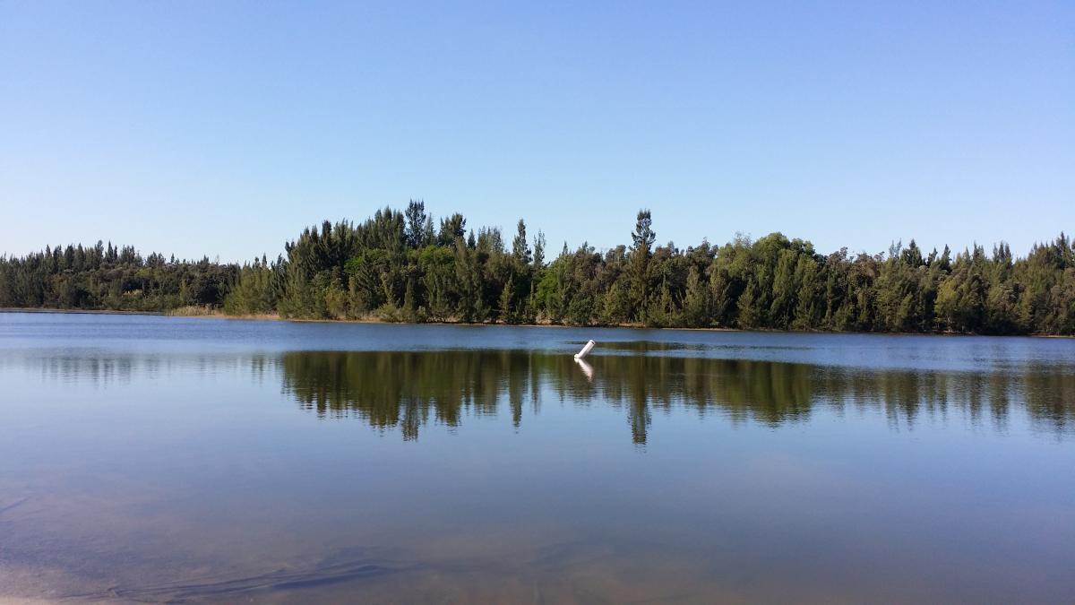 A serene lake scene surrounded by lush green trees under a clear blue sky. The calm water reflects the trees and sky, creating a peaceful and natural atmosphere. Markham Park mountain bike trail.