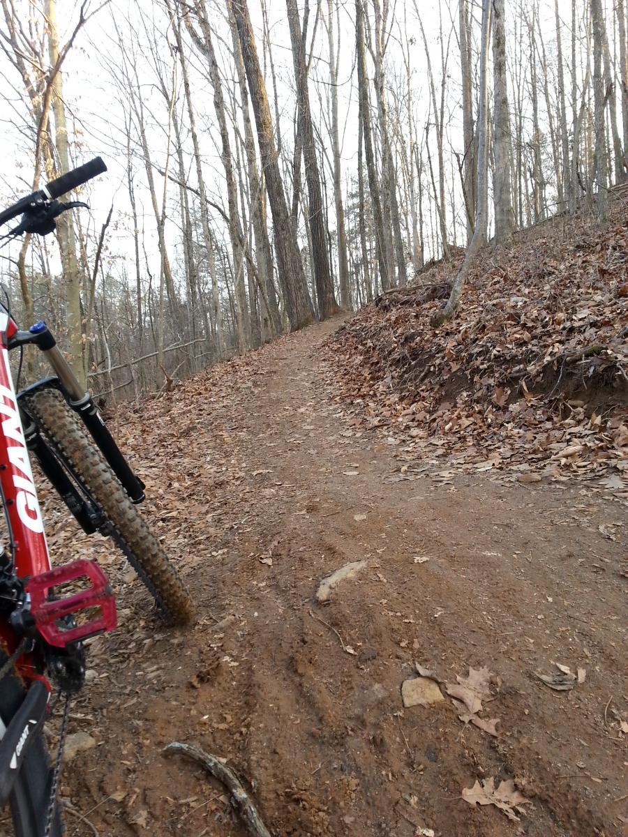 A mountain bike parked on a dirt trail surrounded by trees, with autumn leaves scattered on the ground. The path winds through a wooded area, leading deeper into the forest. Woodland Trail mountain bike trail.