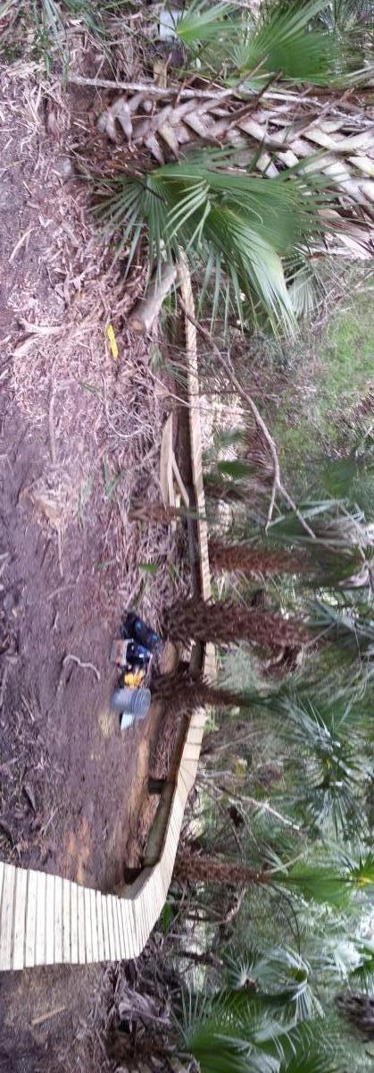 A wooden boardwalk winding through a dense, tropical forest with palm trees, surrounded by lush vegetation and earthy paths. A small tool is visible on the ground nearby, suggesting recent maintenance or construction work. The scene captures the natural beauty of the environment. Mala Compra mountain bike trail.