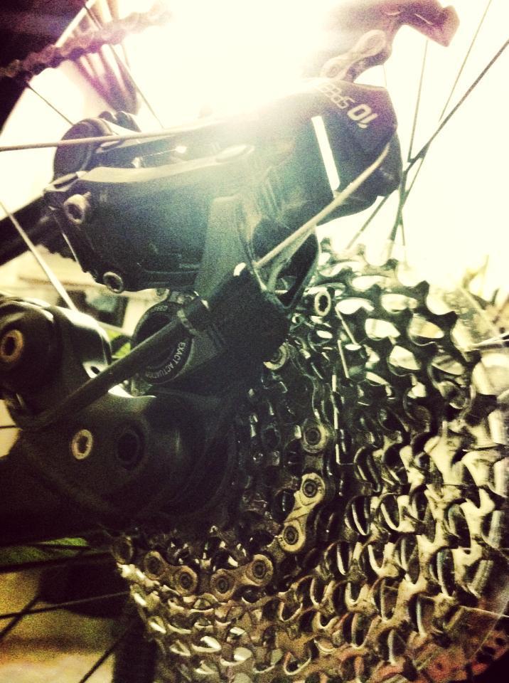 Specialized Rumor Comp: A close-up view of a bicycle's rear derailleur and cassette, showcasing the intricate gears and chain links illuminated by bright light.