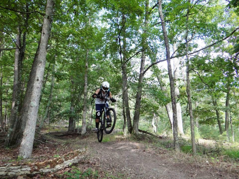 A mountain biker performing a jump on a dirt path surrounded by trees in a lush green forest. The rider is wearing protective gear, including a helmet and knee pads, while showcasing athleticism and skill. Songbird mountain bike trail.