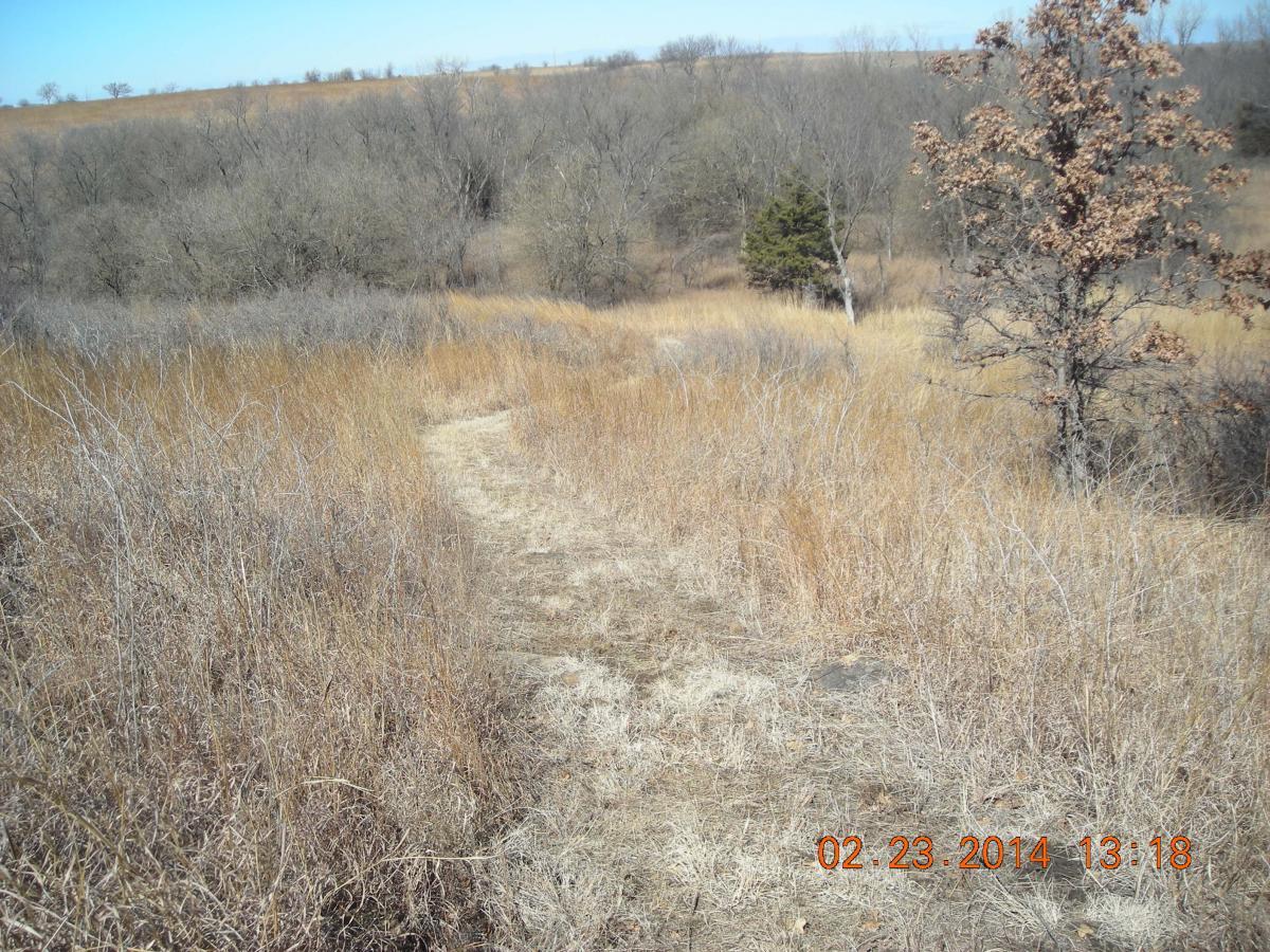 A winding dirt path through a field of dry grass and sparse trees, with a clear blue sky overhead. The landscape features a mix of golden grasses and bare branches, indicating the winter season. Fall River State Park mountain bike trail.