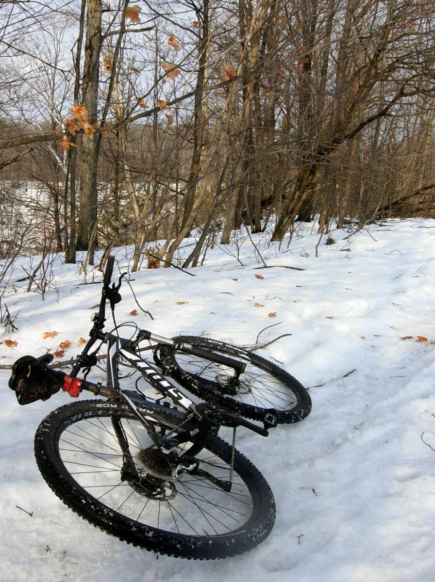 Scott Aspect 910: A mountain bike resting on a snowy path surrounded by bare trees. The snow is partially covered with fallen leaves, and the atmosphere is calm and wintry.