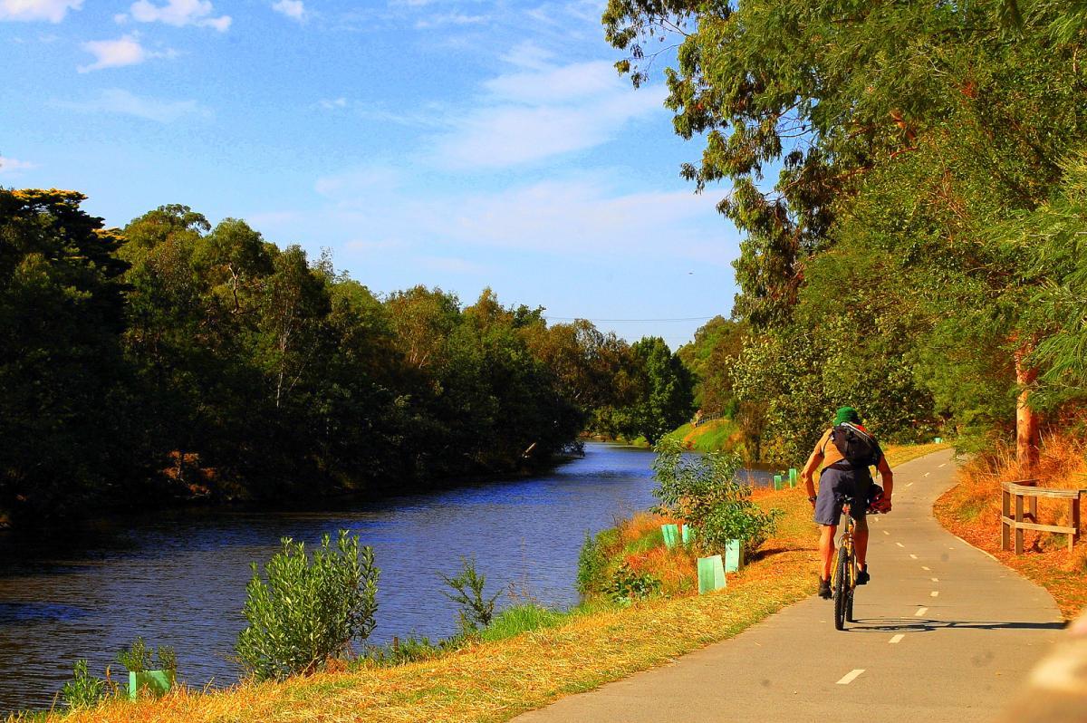 A cyclist riding along a paved path next to a calm river, surrounded by trees and greenery under a blue sky with scattered clouds. Yarra Trails mountain bike trail.