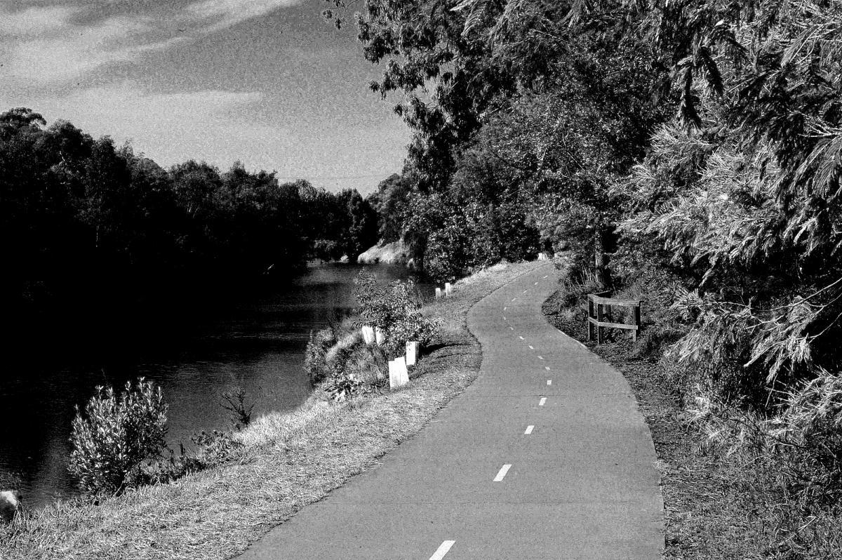A winding pathway beside a peaceful river, surrounded by lush greenery, captured in black and white. The path is marked with white lines and curves gently through the landscape, leading towards a tree-lined area. A wooden fence is partially visible on the right side of the image. Yarra Trails mountain bike trail.