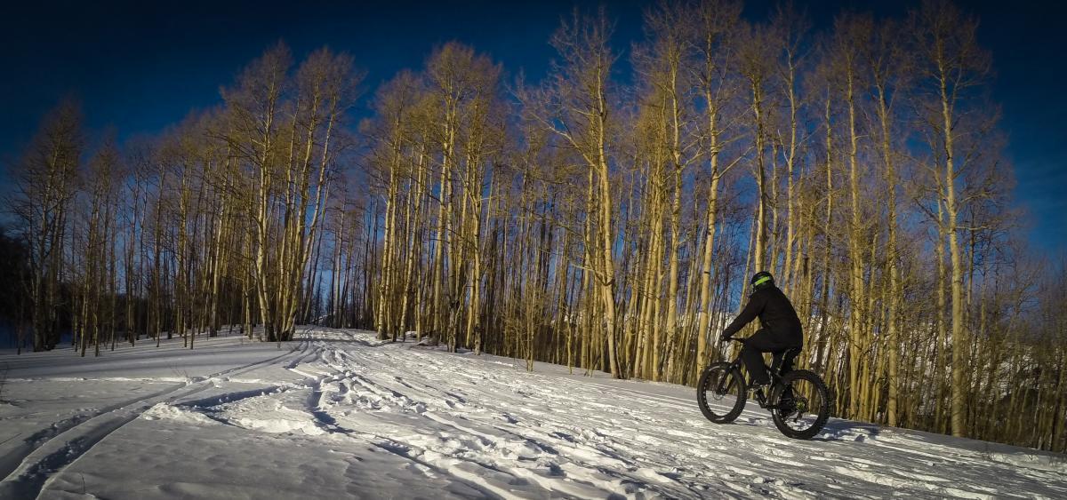 A cyclist riding a fat bike through a snowy landscape, surrounded by tall trees with bare branches against a clear blue sky. Snow-covered trails are visible on the ground, showcasing a winter scene. Snodgrass mountain bike trail.