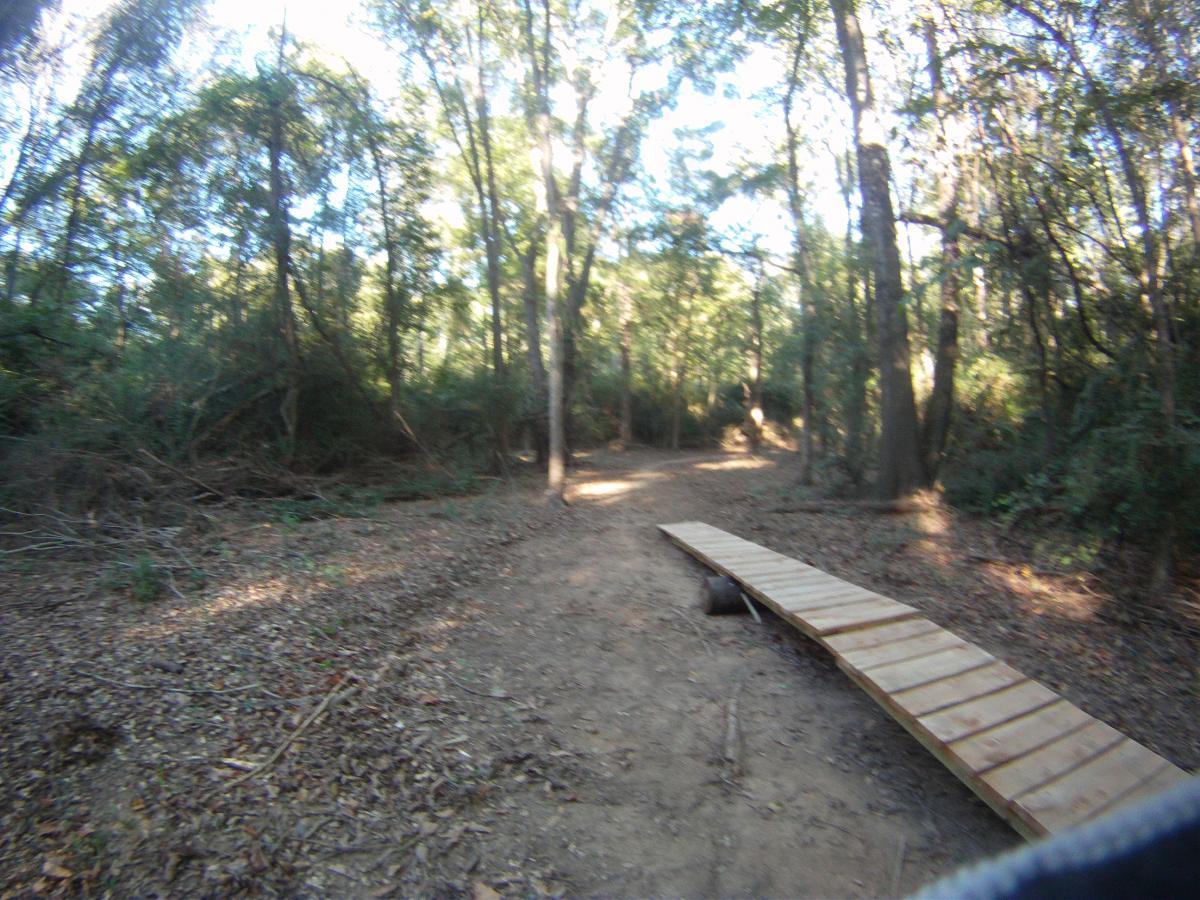 A wooded pathway surrounded by lush trees, featuring a wooden boardwalk crossing over the ground. The scene is illuminated by soft sunlight filtering through the leaves, creating a tranquil natural setting. Spadra Creek Nature Trail mountain bike trail.