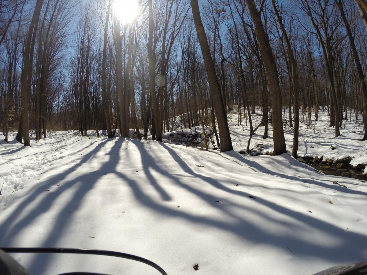 Snow-covered forest with bare trees and a clear blue sky, sunlight filtering through the branches and casting elongated shadows on the snow. In the foreground, a snow-covered path leads towards a small stream visible on the right. Wolfes Pond park mountain bike trail.