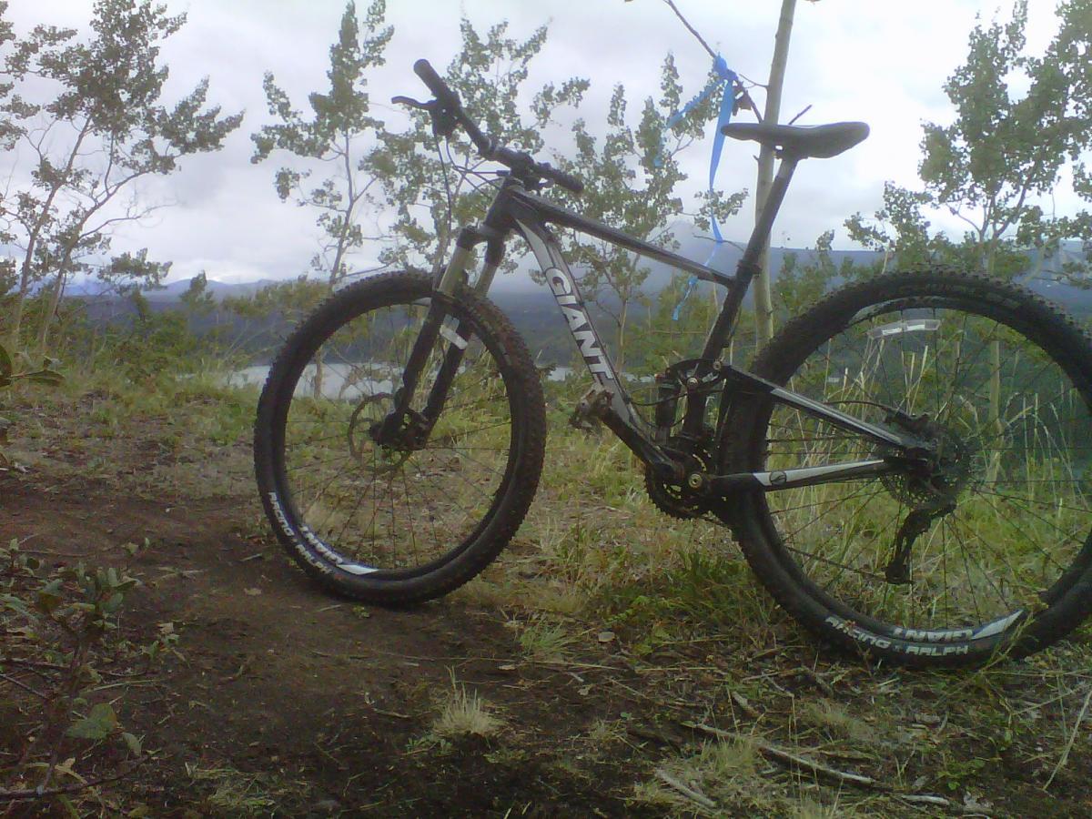Giant Anthem X 29er 1: A mountain bike with a black frame is parked on a dirt trail surrounded by greenery. In the background, mountains can be seen under a cloudy sky, with a lake visible at a distance. The bike's tires are equipped for off-road terrain, and there are small plants and grasses in the foreground.