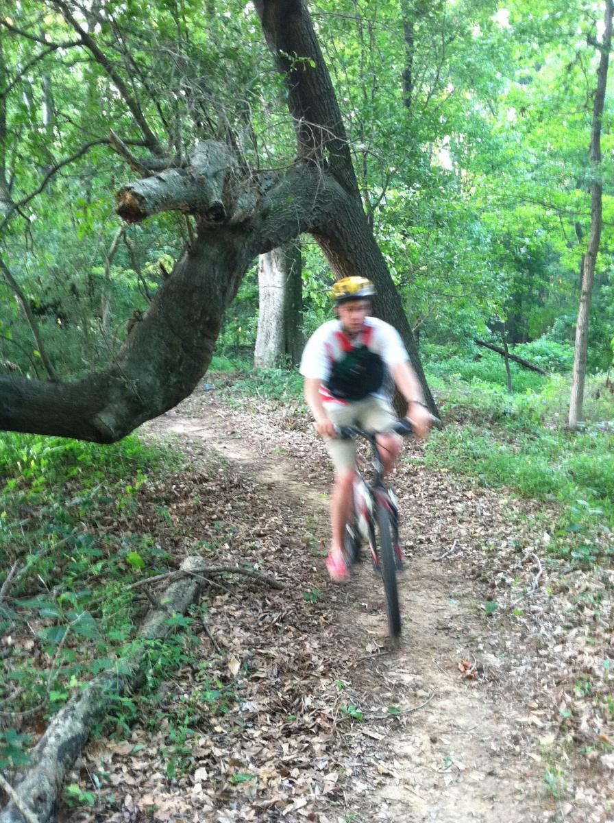 A person riding a mountain bike on a dirt trail surrounded by lush green trees and foliage. A bent tree branch extends over the path, adding to the scenic nature of the wooded area. The cyclist is wearing a helmet and appears to be in motion. Spadra Creek Nature Trail mountain bike trail.