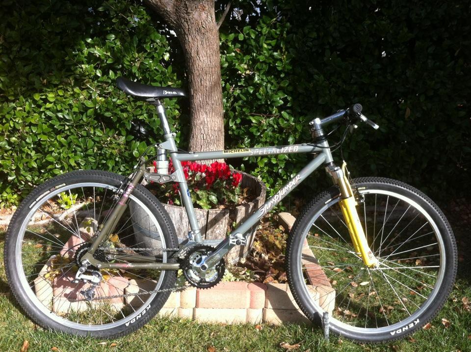 Specialized Stumpjumper: A mountain bike parked on grass next to a tree and flower bed. The bike features a gray frame with yellow front suspension and is equipped with black tires and a comfortable saddle. The background includes green foliage and blooming flowers, creating a vibrant outdoor setting.