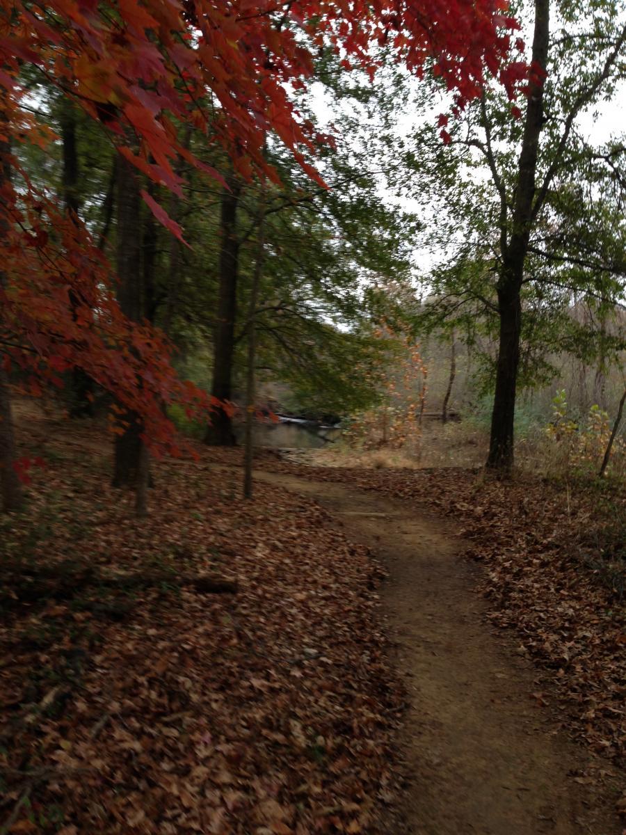 A winding dirt path through a wooded area, surrounded by trees displaying autumn leaves in shades of red and orange. The ground is covered with fallen leaves, and a hint of water can be seen in the background. Spadra Creek Nature Trail mountain bike trail.